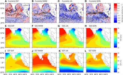 Surface cross-equatorial pathways of seawater from the Bay of Bengal